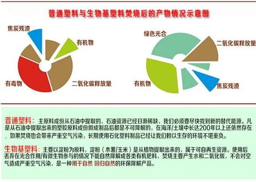 2060碳中和倒计时 生物基材料能否成为决定性转折点？